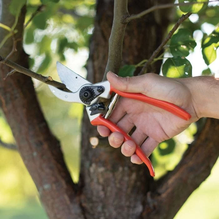 Leonard Pruner And 9in Pruner Case Combo Kit, With Belt 7 Leonard Pruner And 9in Pruner Case Combo Kit, With Belt - Image 5