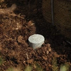 Leonard Fertilizer Tablets For Containers 14-4-6 Controlled Release 3 To 4 Months 12 Grams -Garden Home 12gct 3 1