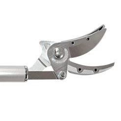 ARS LongReach Pruner 6ft Fixed Length ZR Series Cut & Hold -Garden Home 160zr head right