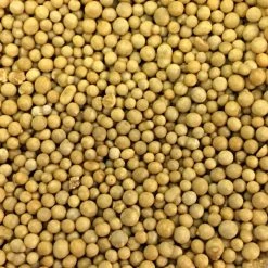 Osmocote 18-6-12 Slow-Release Fertilizer -Garden Home 18612 2