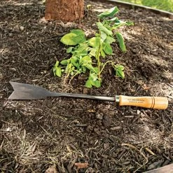 Asparagus Weeder Steel Knife 9 Asparagus Weeder Steel Knife -Garden Home 19ak live2 7.20.22