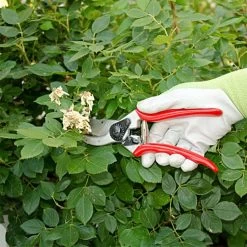 Felco 2 Classic Model - One-Hand Pruning Shear -Garden Home 2fel 7