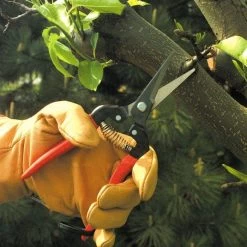 ARS Needle Nose Hand Shears, 7.5-inch Overall Length 13 ARS Needle Nose Hand Shears, 7.5-inch Overall Length -Garden Home 300l 5