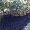 GURUmulch™ Premium Mulch Colorant - Jet Black