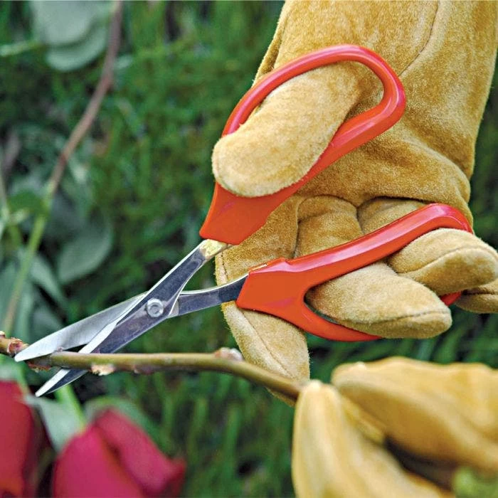 Leonard Stainless Steel Hand Shears, 6.375-inch Length 4 Leonard Stainless Steel Hand Shears, 6.375-inch Length - Image 2