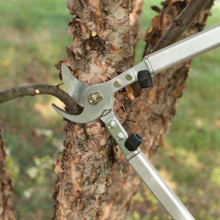 Leonard 20in Professional Lifetime Lopper 1.5in Capacity 7 Leonard 20in Professional Lifetime Lopper 1.5in Capacity - Image 5