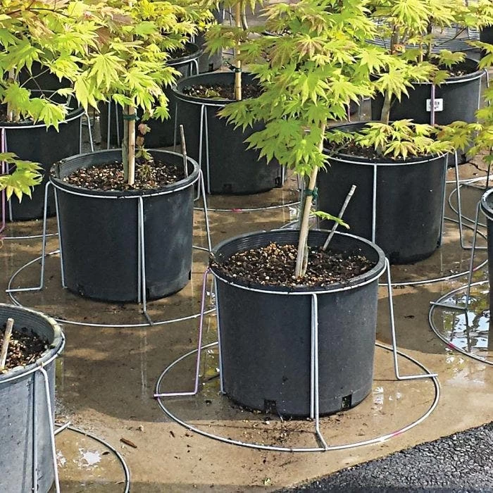 Better Bilt TopHat Plant Container Stabilizer - 3 Gallon Size 4 Better Bilt TopHat Plant Container Stabilizer - 3 Gallon Size - Image 2