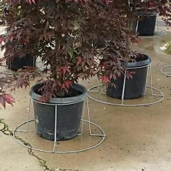 Better Bilt TopHat Plant Container Stabilizer - 7 Gallon Size 8 Better Bilt TopHat Plant Container Stabilizer - 7 Gallon Size -Garden Home 3ps7 2 1