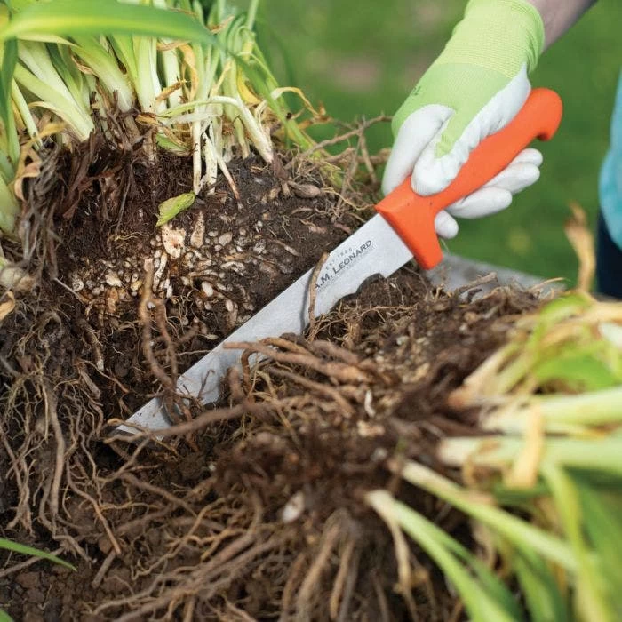 Leonard Wavy Edge Stainless Steel Cut-All Knife, 8-Inch Blade 9 Leonard Wavy Edge Stainless Steel Cut-All Knife, 8-Inch Blade - Image 7