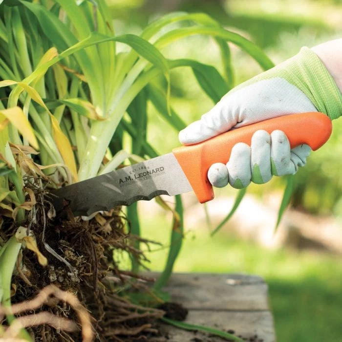 Leonard Wavy Edge Stainless Steel Cut-All Knife, 8-Inch Blade 10 Leonard Wavy Edge Stainless Steel Cut-All Knife, 8-Inch Blade - Image 8