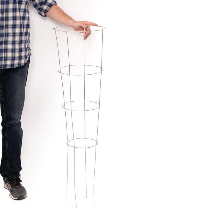 Tapered Tomato Plant Supports, 42-Inch Height, Pack Of 5 4 Tapered Tomato Plant Supports, 42-Inch Height, Pack Of 5 - Image 2