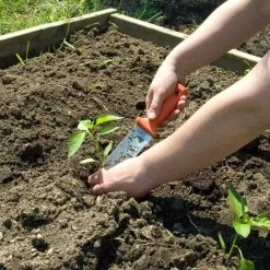 Classic Stainless Steel Soil Knife By A.M. Leonard, 6in Dual Edged Blade, Lifetime Warranty -Garden Home 4750 4