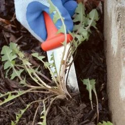 Classic Stainless Steel Soil Knife By A.M. Leonard, 6in Dual Edged Blade, Lifetime Warranty -Garden Home 4750 9