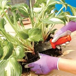 Deluxe Stainless Steel Soil Knife By A.M. Leonard, 6in Dual Edged Blade, Lifetime Warranty -Garden Home 4752 4