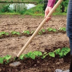 PROHOE 5.5-inch Garden Hoe 12 PROHOE 5.5-inch Garden Hoe -Garden Home 575g 4