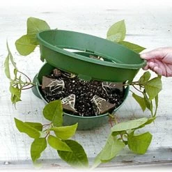 Belden Plastics 10 Inch Hanging Garden Baskets Case Of 25 -Garden Home 690202 3