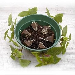 Belden Plastics 10 Inch Hanging Garden Baskets Case Of 25 -Garden Home 690202 4