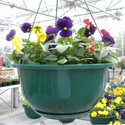 Belden Plastics 10 Inch Contemporary Baskets Case Of 50 -Garden Home 6905180 3