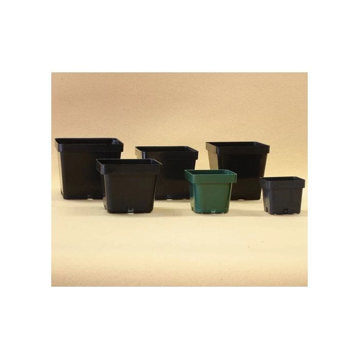 Belden Square Pot 4.5 In Black 450/Case 3 Belden Square Pot 4.5 In Black 450/Case