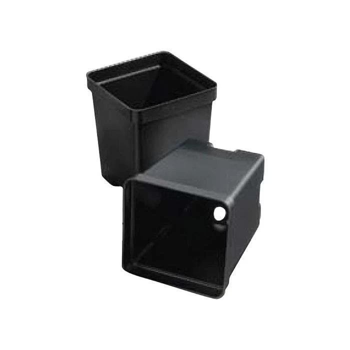 T.O. Plastics 4.5" Deep Square Pot SVD450, Bundle Of 300 4 T.O. Plastics 4.5" Deep Square Pot SVD450, Bundle Of 300 - Image 2