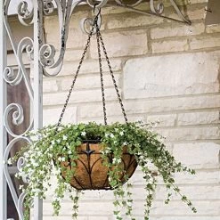 Wire Hanging Basket Fleur De Lis Coco Liner And Chain 14in Diam -Garden Home 88512 2