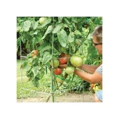 Super-Sturdy Professional Folding Tomato Cage, 60in X 18in -Garden Home 89713 2