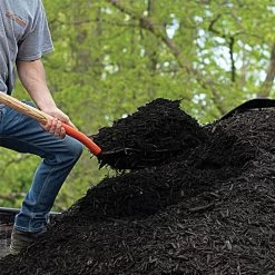 Leonard 10-Tine Forged Steel Scoop Fork With 48-Inch Straight Handle -Garden Home amf10l 5 1