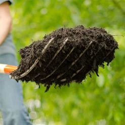 Leonard 6-Tine Forged Steel Manure Fork With 54-Inch Straight Handle -Garden Home amf6 6