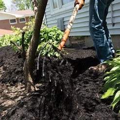 Leonard 6 Tine Forged Steel Manure Forks 12 Leonard 6 Tine Forged Steel Manure Forks -Garden Home amf6 9 1