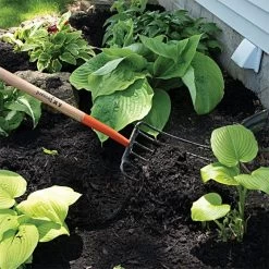 Leonard 6 Tine Forged Steel Manure Fork With 30 Inch D Grip Handle 12 Leonard 6 Tine Forged Steel Manure Fork With 30 Inch D Grip Handle -Garden Home amf6d 4