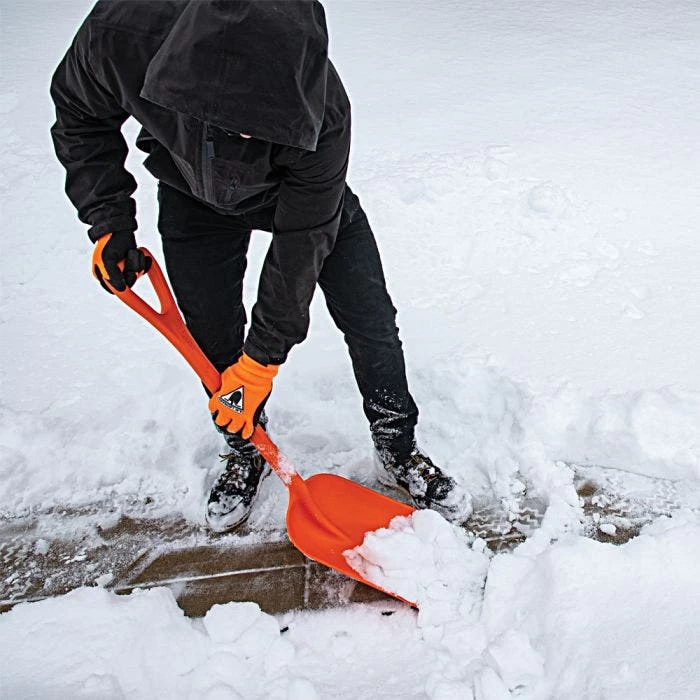 Leonard 10 Inch All Poly Scoop Shovel With D Grip Handle 10 Leonard 10 Inch All Poly Scoop Shovel With D Grip Handle - Image 8