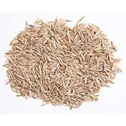 Turf Type Tall Fescue, 25 Lb Bag 6 Turf Type Tall Fescue, 25 Lb Bag -Garden Home attf25 1 1