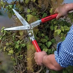 Berger Compact Precision Topiary Shear With Wooden Handles -Garden Home b2510 live2