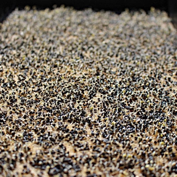 Biostrate Felt, 10in X 20in Sheet, Pack Of 10 4 Biostrate Felt, 10in X 20in Sheet, Pack Of 10 - Image 2