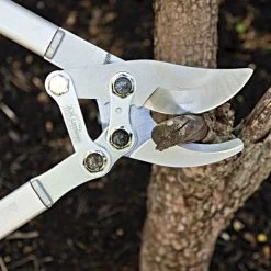 Leonard Compound Action Bypass Loppers, 2-1/8-Inch Cutting Capacity -Garden Home c850 2