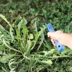 CobraHead Weeder And Cultivator, 13-inch Handle -Garden Home chead 3