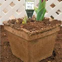 CowPots #6 Square Pots, Case Of 54 -Garden Home cpsq6 1