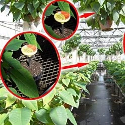 Spectrum Greenhouse DLI Meter -Garden Home dli100 gh 3