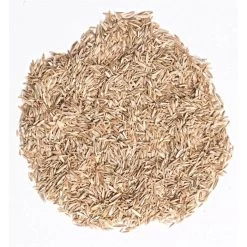 Fairlawn Blue And Rye Mix, 5 Lb Bag -Garden Home fair5 1 1