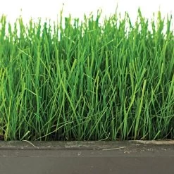 Fairlawn Shade Mix, 5 Lb Bag 7 Fairlawn Shade Mix, 5 Lb Bag -Garden Home flsh5 2 1