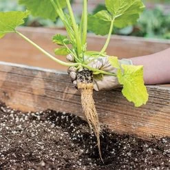 Grow-Plugs, Case Of 1,400 -Garden Home fp1400 6