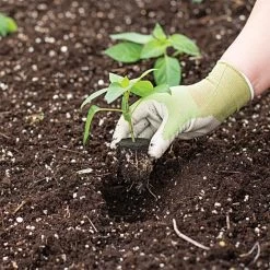 Grow-Plugs, Bag Of 55 -Garden Home fp55 2 1