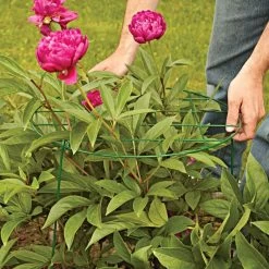 Commercial Steel Grid Plant Brace, 25in X 16in -Garden Home gpb 2