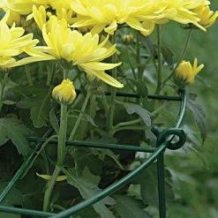 Commercial Steel Grid Plant Brace, 25in X 16in -Garden Home gpb 3