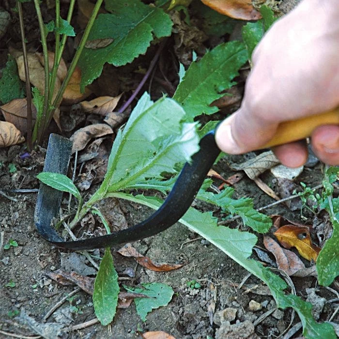 Hot Bed Weeder 4 Hot Bed Weeder - Image 2