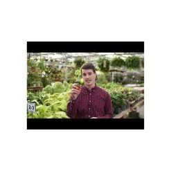 Leonard Stainless Steel Hand Shears, 6.375-inch Length 7 Leonard Stainless Steel Hand Shears, 6.375-inch Length -Garden Home hqdefault 15 8