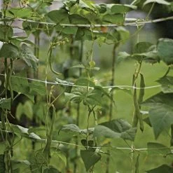 Hortonova Trellis Netting, 6-1/2 Feet X 3,280 Feet -Garden Home htn63280 12