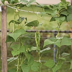 Hortonova Trellis Netting, 6-1/2 Feet X 3,280 Feet -Garden Home htn63280 14