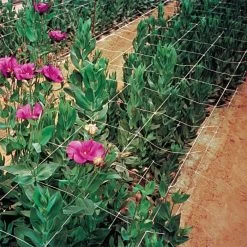 Hortonova Trellis Netting, 6-1/2 Feet X 3,280 Feet -Garden Home htn63280 15