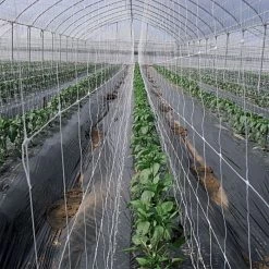 Hortonova Trellis Netting, 6-1/2 Feet X 3,280 Feet -Garden Home htn63280 4